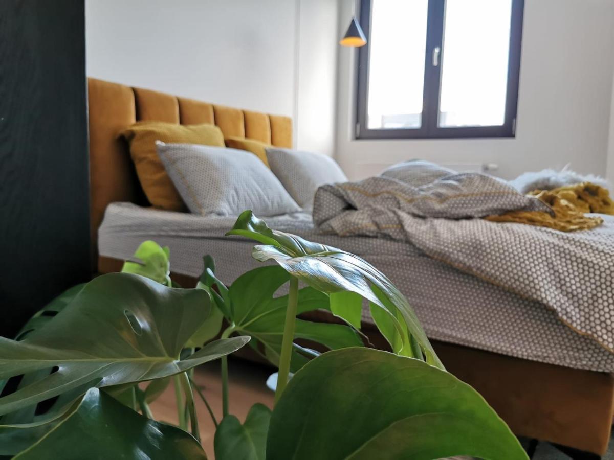The Penthouse, Oasis Of Light And Inspiration Apartment Antwerpen Ngoại thất bức ảnh